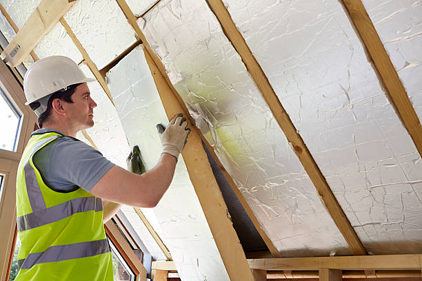 Best Types of Insulation in Bryans Road, MD