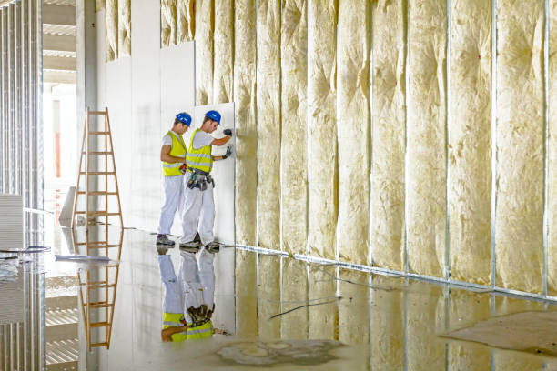 Best Insulation for Specific Applications in Bryans Road, MD